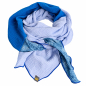 Preview: Schal aus Baumwolle in hellblau, kobaltblau und blau mit Blumenmuster